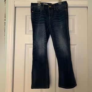 Anthropologie Pilcro and‎ the letterpress dark wash jeans